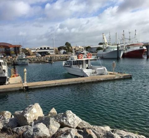 Port Lincoln Shark Apartment 1 Bagian luar foto